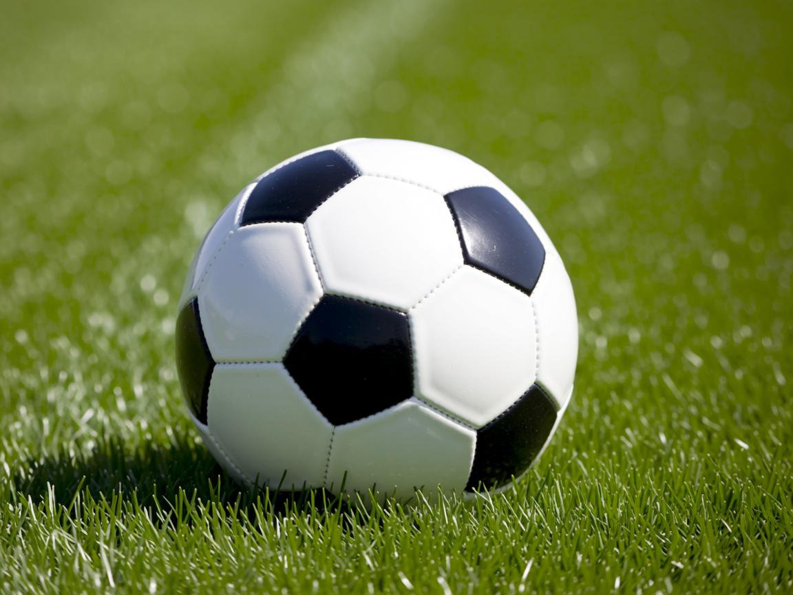 米兰体育官网-大学生田径锦标赛北京站创多项新高,2021年全国大学生田径锦标赛规程 第3张