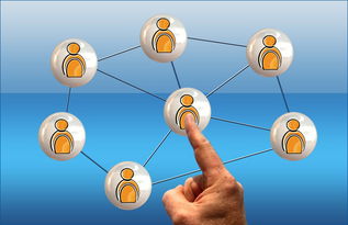 米兰体育入口-印度队2024年世界杯:从经验到信心的全面提升,印度1950世界杯 第2张